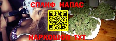 молекула духа Жуковский