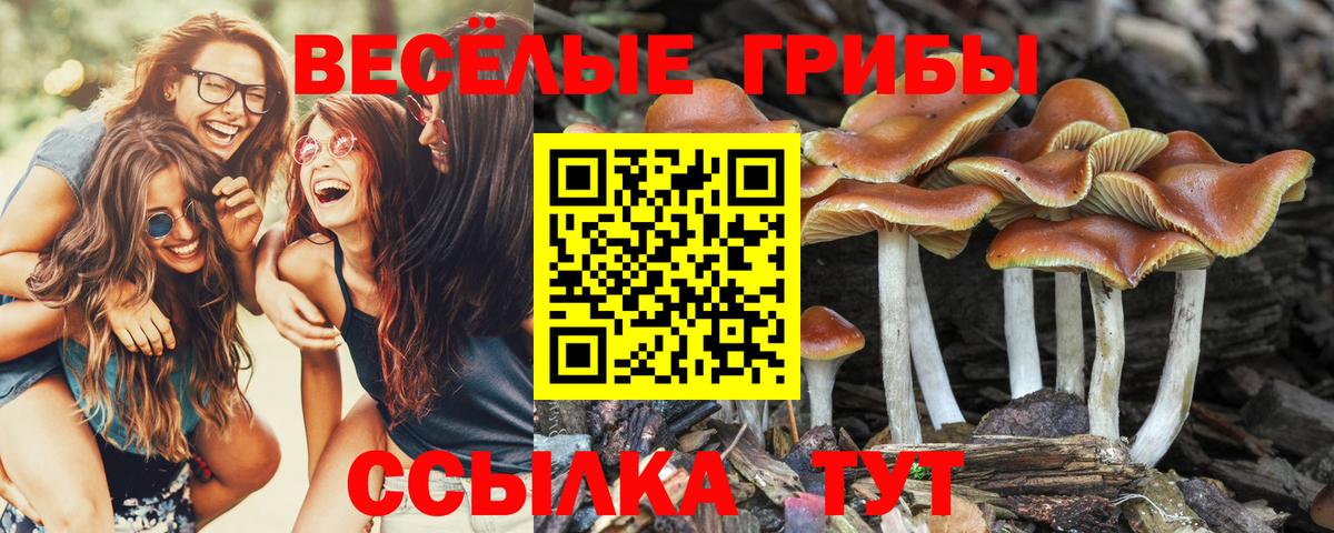 Меф МЯУ МЯУ кристаллы  МЕТАМФЕТАМИН  Мелеуз  Гашиш  Вход с VPN  COCAIN  A PVP СОЛЬ   НБОМе 