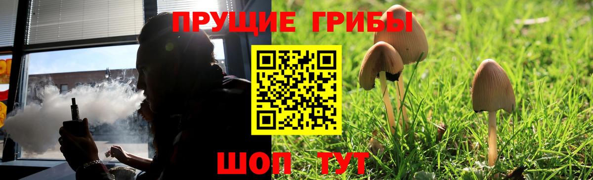 Галлюциногенные грибы прущие грибы Мелеуз